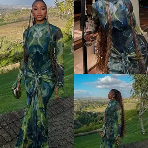 Women's  Ruched Sheer Mesh Dress, 2025 Elegant Long Sleeve Long Mesh Dress for Party Banquet, Ladies Summer Clothes, Fall, Casual Womenswear winter fashion