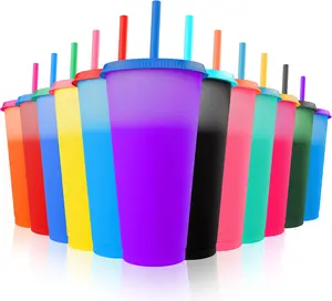 [10 Pack]Color Changing Cups,24oz Plastic Tumblers, Reusable Iced Coffee & Smoothie Cups with Lids and Straws for Parties and Travel - Reusable Leak Proof Party Cups for Kids#Summervibes
