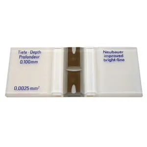 LW Scientific CTL-HEMM-GLDR Hemacytometer