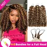 【New Color】Asakiss Human Hair Crochet Extensions, P4/27 Honey Blonde Burmese Curly Miracle Knots, #4 Chocolate Brown Texturized, 99J Burgundy Feather, Pre-Separated (50g, 40 Strands Each, 4-5 Needed for Full Head Protective Hairstyles)