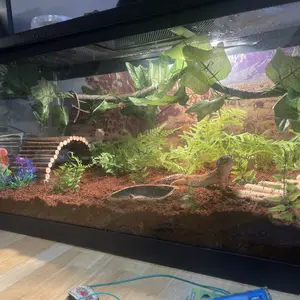 Crested Gecko  AccessoriesReptile Vines  with Coconut Shell Ladder Hideout Hermit Crab Decor for Bearded Dragon Lizard Chameleon Tortoise Snake