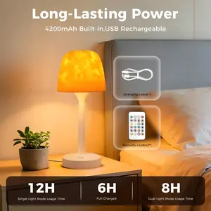 LED Desk Lamp, 3-Color Dimming—Touch-Control Color Change / 16-Color Dimming—Remote-Control Color Change, USB-Rechargeable, Includes Waterproof Lampshade, Suitable for Bedrooms, Living Rooms, Home Offices, and Offices, Home Indoor Lighting Desk Lamp