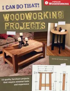 USED-I Can Do That! Woodworking Projects by David Thiel (Paperback)