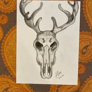 Deer Skull and Velvet Antlers 9 x 12 Charcoal Artwork for Home Decor
