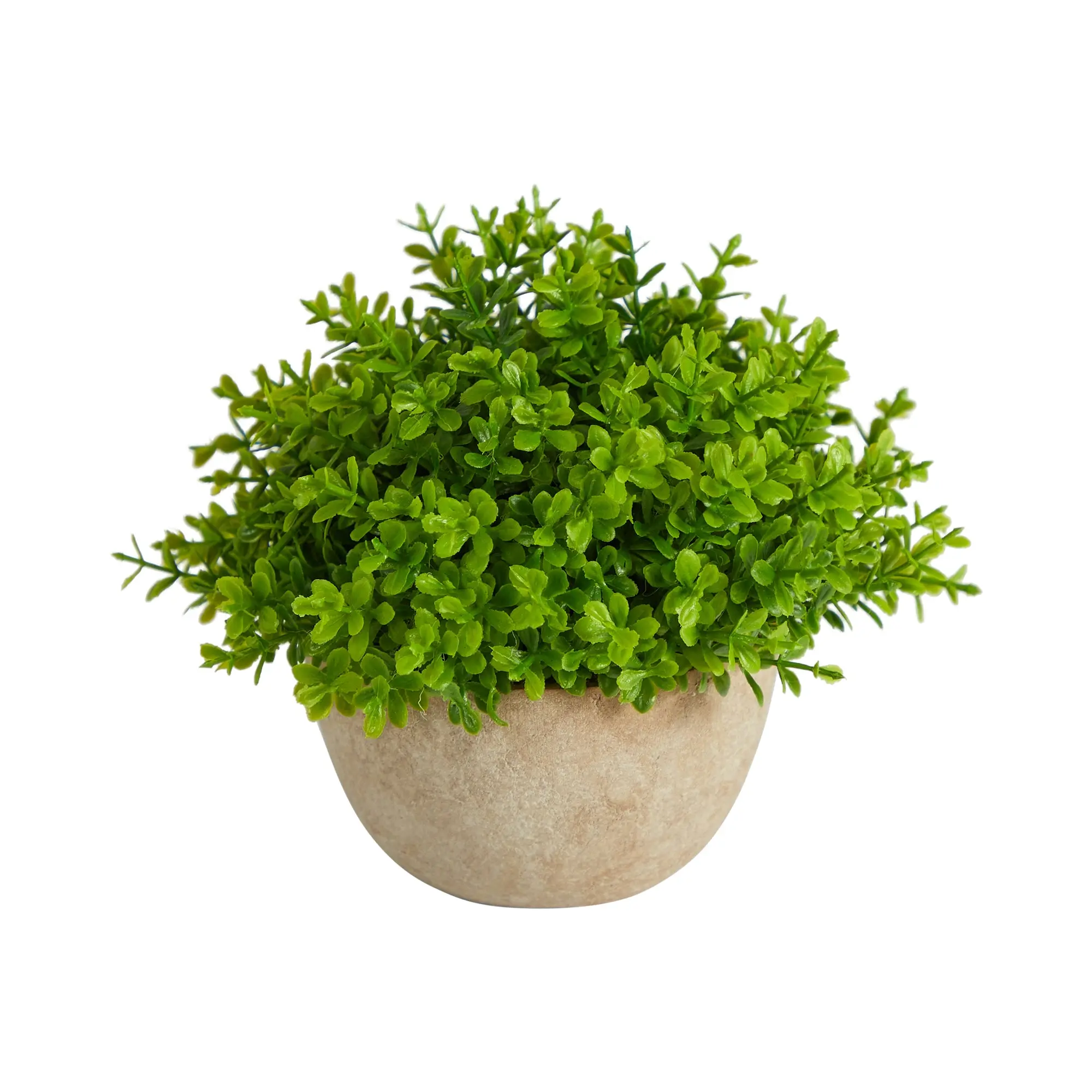 5” Synthetic Boxwood Plant in Decorative Planter - Home Decor, Entryway Decor, Tabletop Botanical Flower Arrangement Artificial Plants
