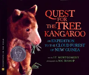 USED-The Quest for the Tree Kangaroo: An Expedition to the Cloud Forest of New Guinea by Montgomery, Sy (Paperback)
