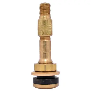 212 MAIN Brass Tire Valve, Compatible with Ford F Series Outer Steel Wheels, Dill Air Controls Automotive Tire Repair Accessory