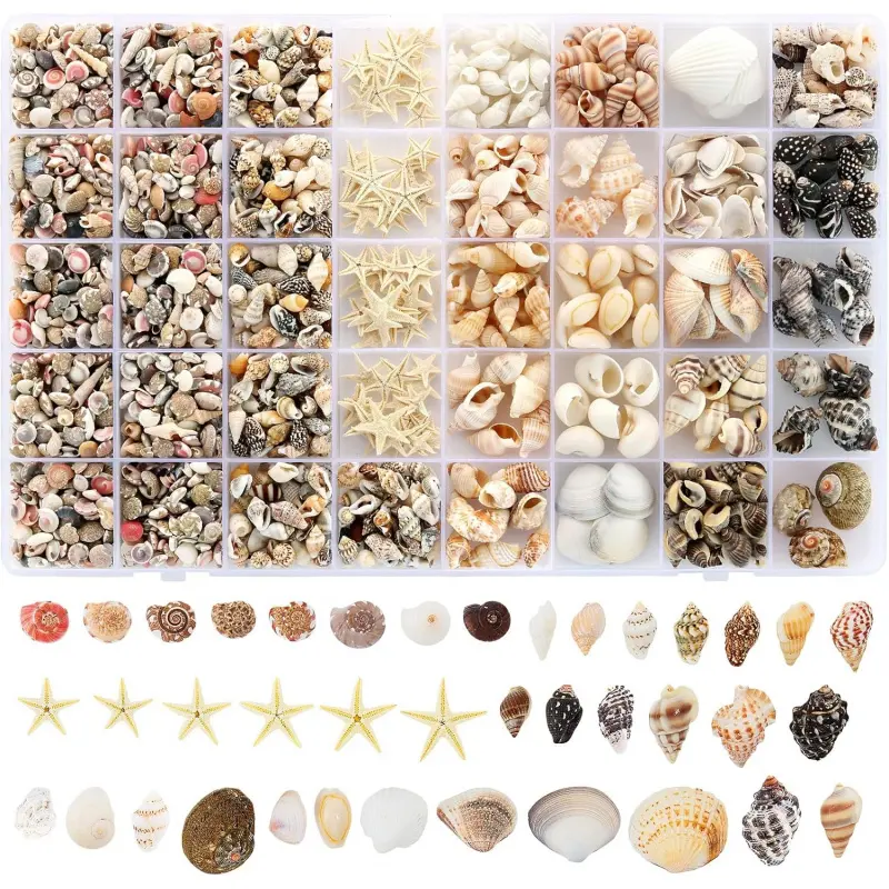 1200-Piece Mixed Size Small Sea Shells & Starfish Set, 23 Types Craft Shells for Vase Filler, Beach Theme Party Home Decor Ornaments