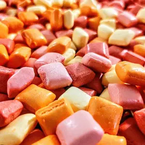 Freeze Dried Star Bites Fruity Candy Large Bag