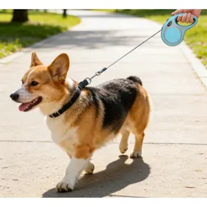 1pc 5 Meters  Pet Retractable Adjustable Leash,One-Button Brake, U-Shaped Design Prevents Rope Jamming, No Breakage During Sudden Lunges, High Quality & Aesthetic Appeal Coexist, Suitable For Walking Medium & Small Dogs,Safe braking pet training leash