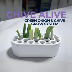 Scallion Regeneration Kit  Grow Green Onions Easily at Home Without Skills | Compact System Suitable for Balcony, Windowsill, and Small Spaces | Rapid Green Onion Regrowth