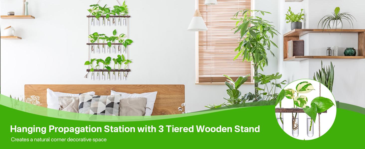 Renter-Friendly Large Indoor Plant Wall Hanger 3-Tier Glass Test Tube Planter 15.7" Wide for Small Apartments Office Spaces Decor Hanging