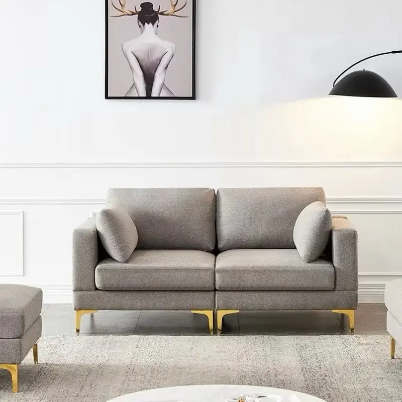Sofa and counches