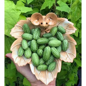 100pcs Cucamelon Seeds -Experience the Tasteof Mexican Sour Gherkin Mini ThumbWatermelons in Your Home Garden