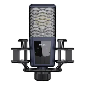 BASN Large Diaphragm Cardioid Pickup Studio Condenser XLR Microphone for Recording, Podcasting, Streaming, mini microphone Metal Audio mini microphone