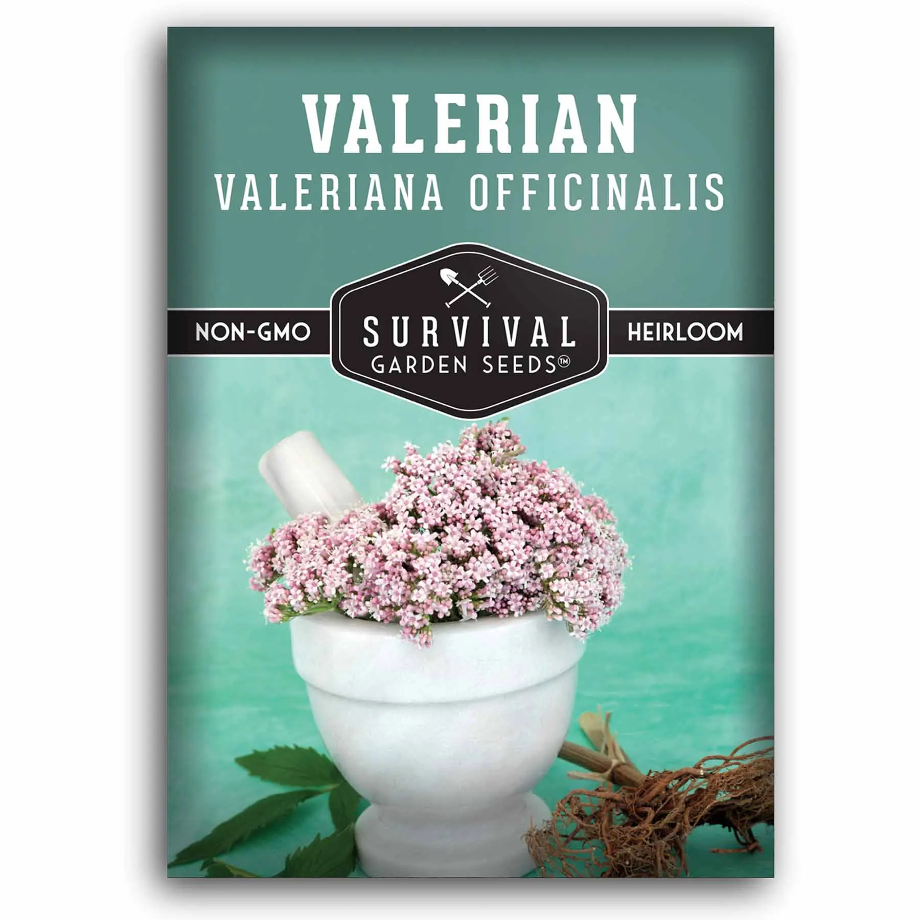 Valerian Seeds - Valeriana Officinalis
