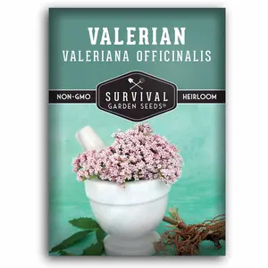 Valerian Seeds - Valeriana Officinalis