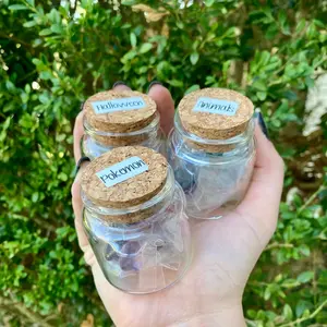 Mini fluorite crystal bundle| Comes with jars