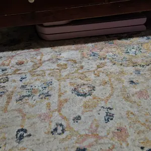 review image 5