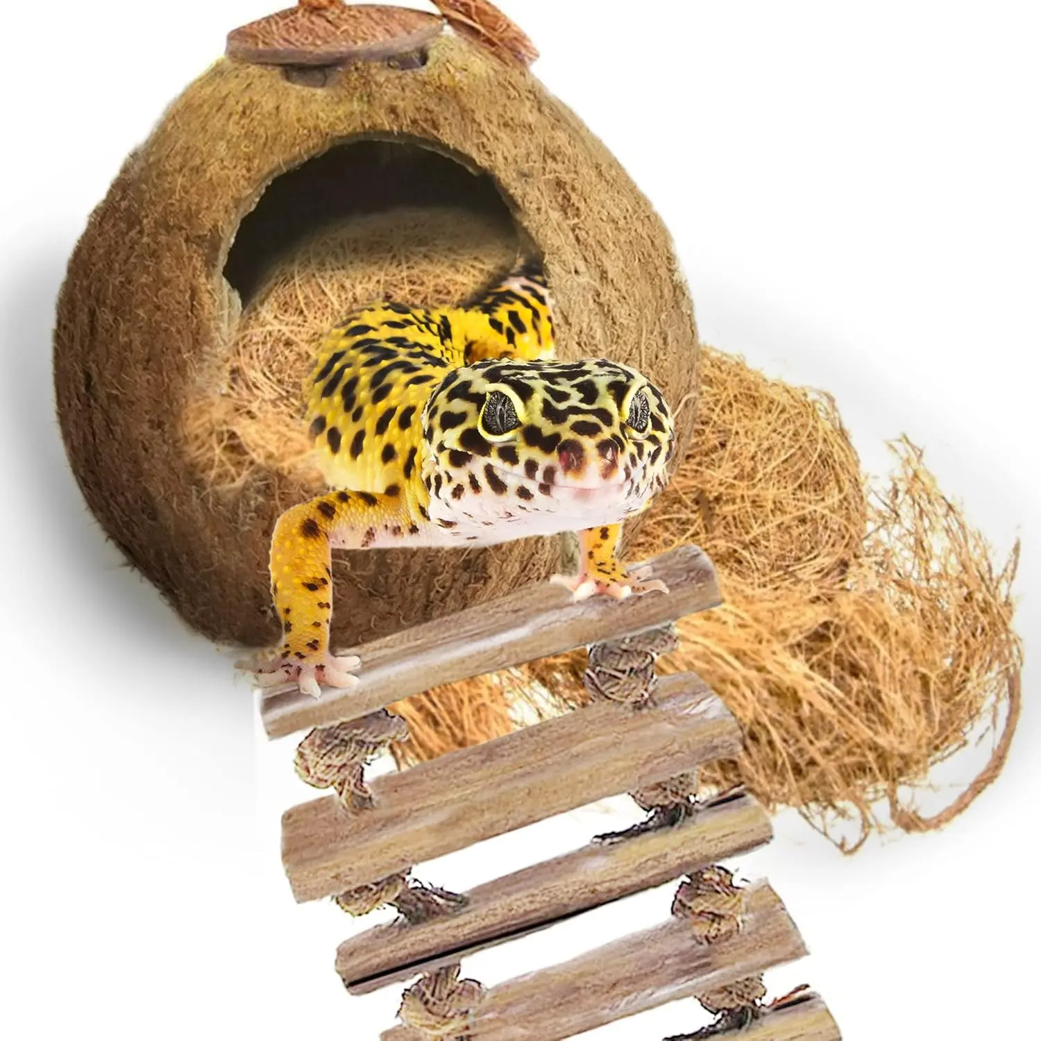 Leopard Gecko Coconut Husk Hut with Ladder and Coco Fiber Bedding, with Shell Opening, 2.5" Opening Diameter, Cave Habitat with Hanging Loop, 1.5 oz Fiber Bedding