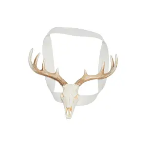 Woodland Witch Headpiece