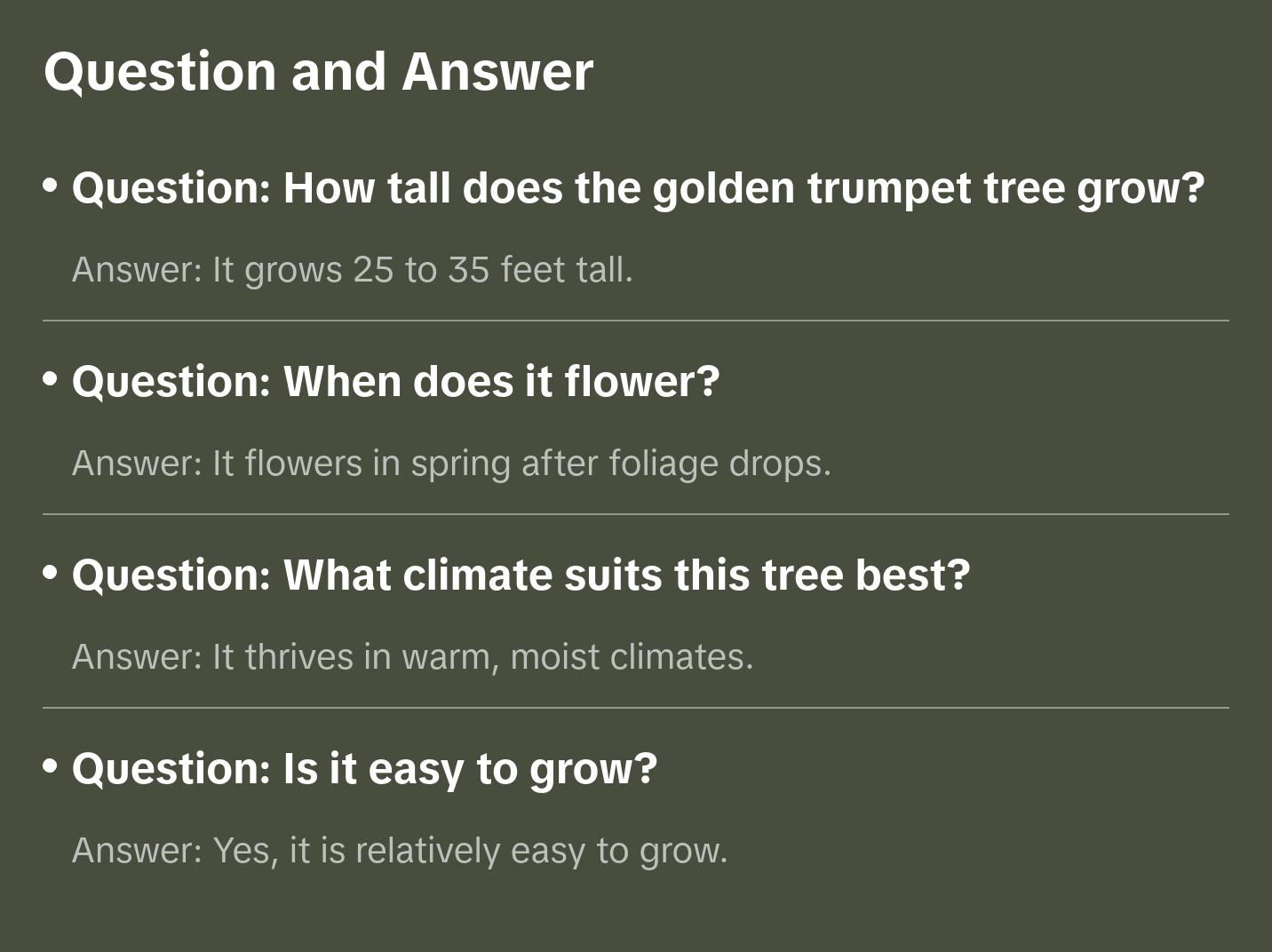 Yellow Tabebuia Trumpet Tree - Live Plants in 4 Inch Pots - Handroanthus Chrysanthus - Beautiful Flowering Tree