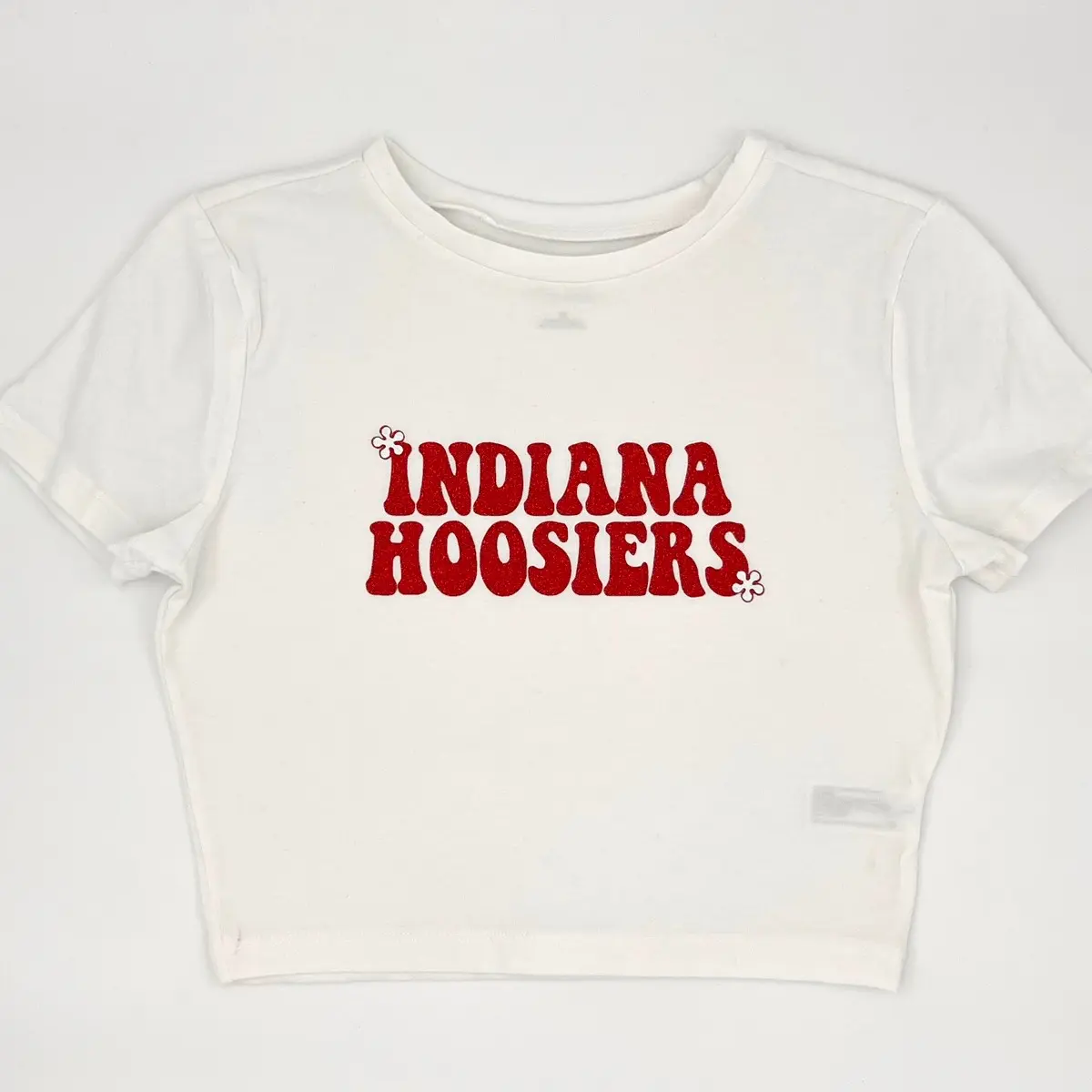 Indiana Groovy Crop Top