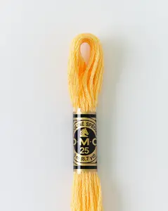 DMC Embroidery Stranded Thread - Six-Strand Embroidery Floss - 19 - Soft Peach