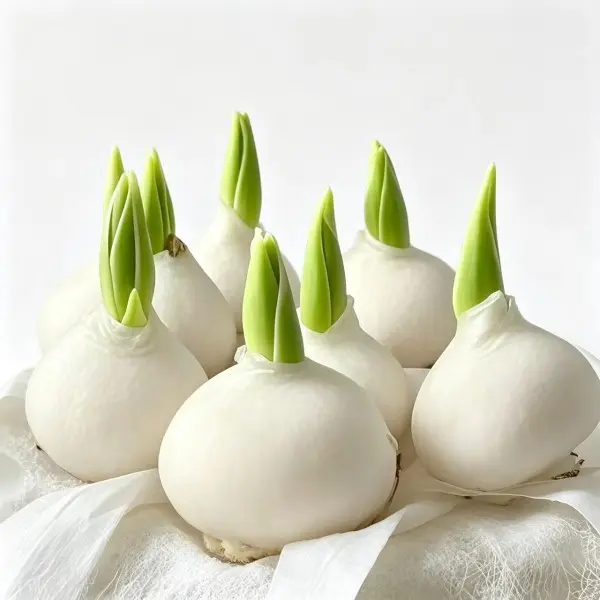 Mixed Color Tulip Bulbs (5-Pack) - Low-Maintenance Spring Garden Starter Pack for Easy Growing