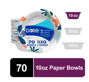 70 Count Printed Disposable Bowls 10 1/16 inch