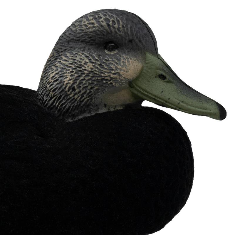Final Approach LIVE Flocked Black Duck Decoys, 6 Pack