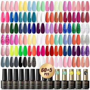 ROSALIND 65Pcs Gel Nail Polish Set-Mini 60 Colorful Bright with 5pcs Base Glossy&Matte Top Coat Funtional Gel -Need UV Cure Nail Glue Kit for Manicure Gift Cutics Box