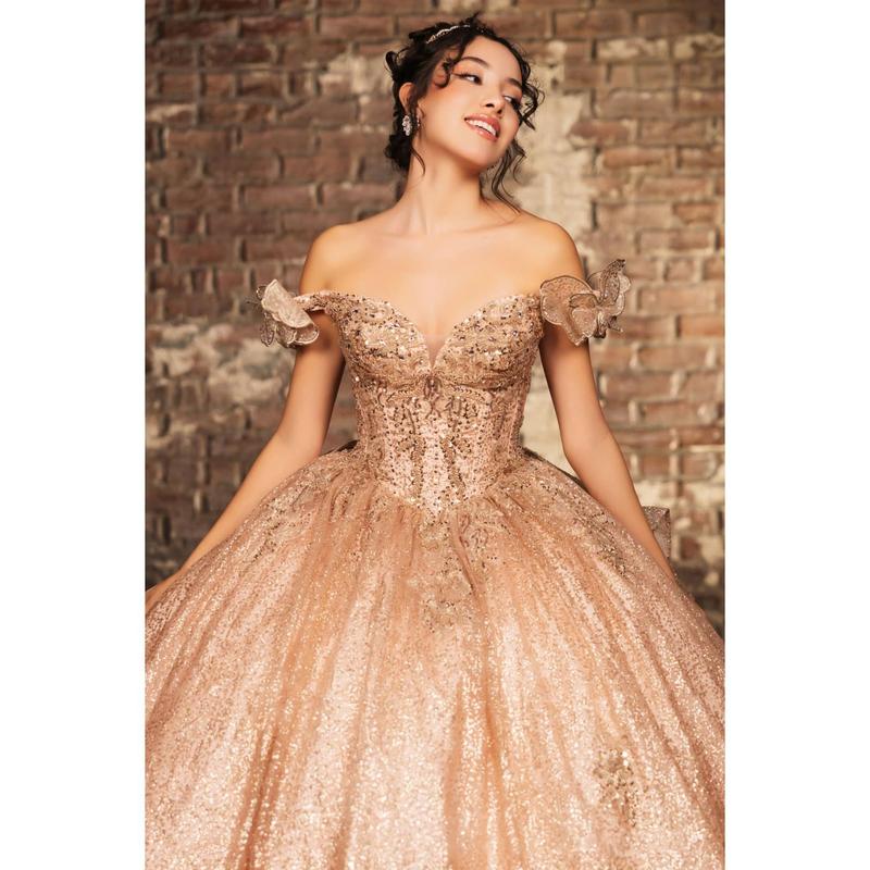 Sweet 16 Dress Off Shoulder Floral Lace Prom Ball Gown By Layla K LK265