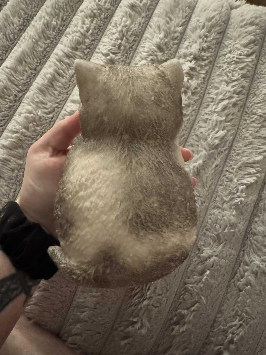 Item: A DIY White Cat