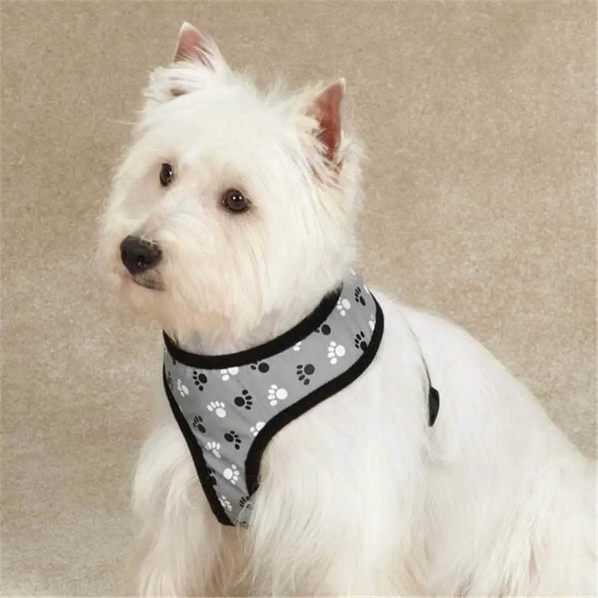 212 MAIN Casual Canine Adjustable Safety Reflective Strip Harness - Medium Size, Night Safety, Visibility Boost, Black Walking Harness