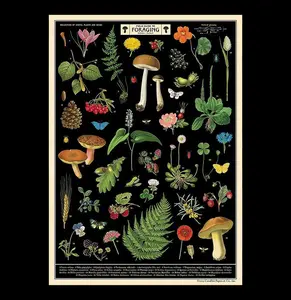 Field Guide to Foraging Poster Wrap