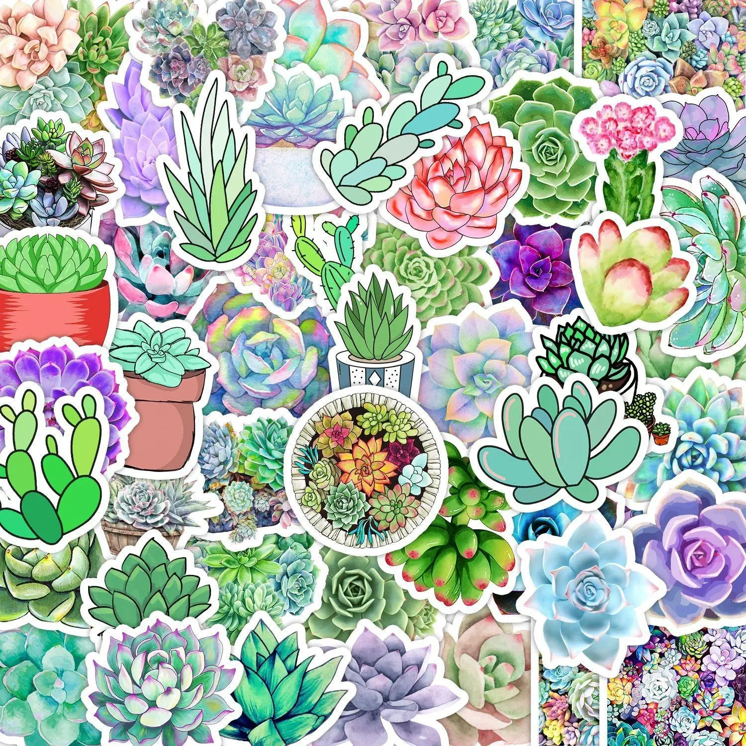 Succulent Plant Pattern Sticker, Self Adhesive Decorative Stickers, DIY Decals for Water Bottle, Laptop, Phone Case, Scrapbooking, Journal Making, Screen Protector