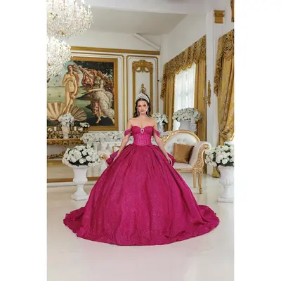 Jh Quinceanera Dresses - TikTok Shop Jh Quinceanera Dresses - TikTok Shop