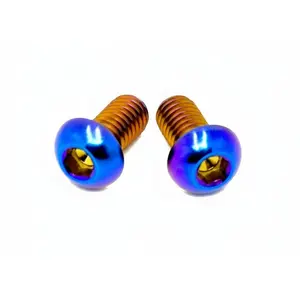 Titanium Ignition Cover Bolts (Set of Two) Talaria
