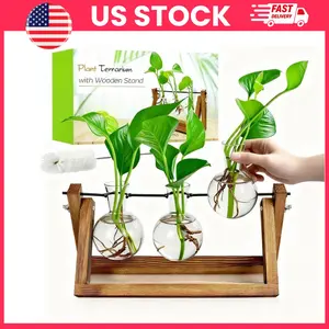 Plant Propagation Station, Plant Terrarium, Propagation Vase, Glass Plant Vase, Hydroponic Plant Holder, Indoor Plant Decor, Wooden Plant Stand, Bulb Vase Planter, Desktop Plant Display, Home Office Decor, Gardening Gifts for Women, Spring Summer