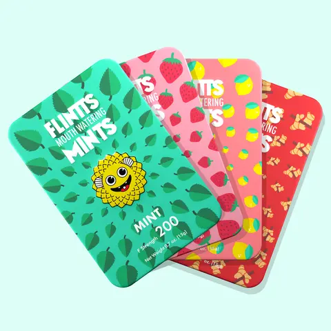 Flintts Mouth Watering Mints Wild Variety 4 Pack- Mint, Strawberry Magic, Lemon, Cinnamon Ginger - Natural Flavors, Sugar-Free & Vegan, Dry Mouth Mints