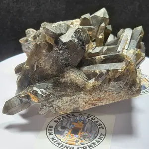 Smoky Quartz Raw Specimen 1558 grams