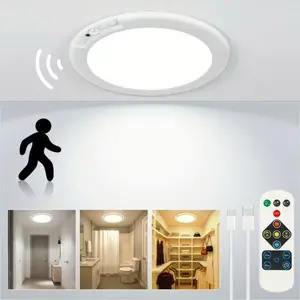 Indoor LED String Lights, 12-Count Warm White Dimmable Lights for Home Improvement Bedroom Decor