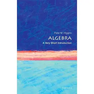 Algebra: A Very Short Introduction - Paperback