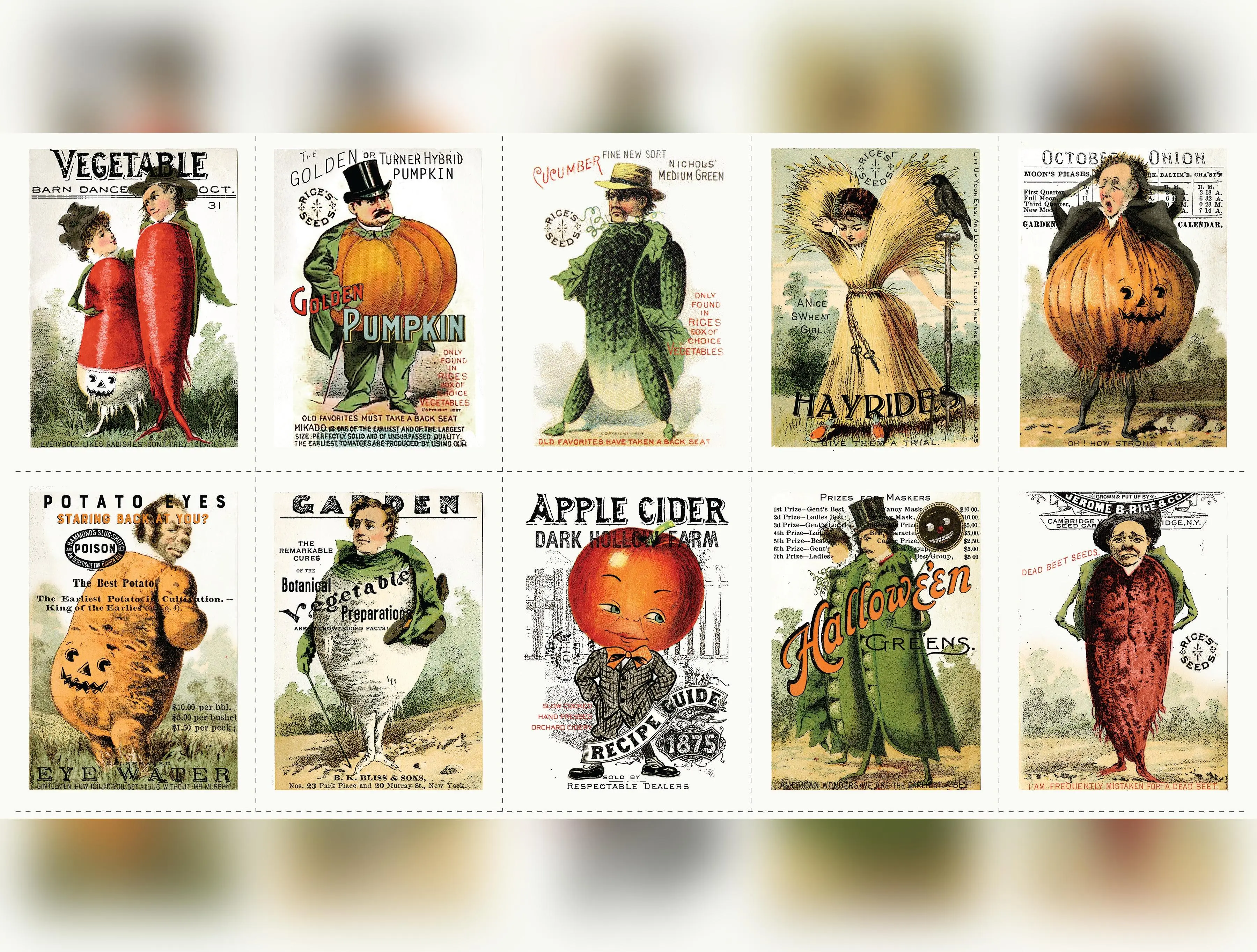 Pumpkin Patch | Seedy Characters Patch Panel by J. Wecker Frisch for Riley Blake | PD14572-PANEL