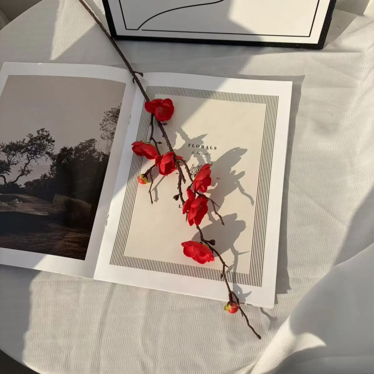 Red Plum Blossom of Wish Fulfillment