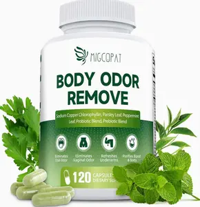 Chlorophyll Body Deodorizing Supplement, Chlorophyll Capsules with Parsley & Peppermint, Probiotic, Green Tea, Jerusalem Artichoke, Prebiotic, Supports Fresh Breath & Whole-Body Freshness, 120 Caps
