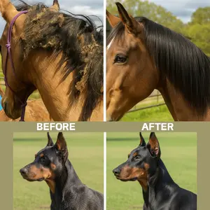 JOVYNEX ®   Conditioner And Detangler in a 200Ml Spray Bottle • Designed for Horses And Dogs Fur, Manes And Tails • Provides Immediate Smoothing, Minimizes Breakage • Well-Groomed Appearance, Radiant Shine