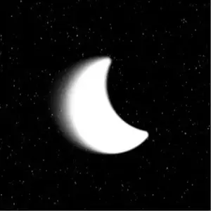 Dreamvisionco shop logo