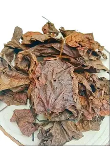 DJEKA LEAVES - Dried Traditional African Leaves Carefully Prepared and Packaged for Traditional Uses Only